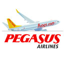 Pegasus Airlines by Gratis in Barcelona