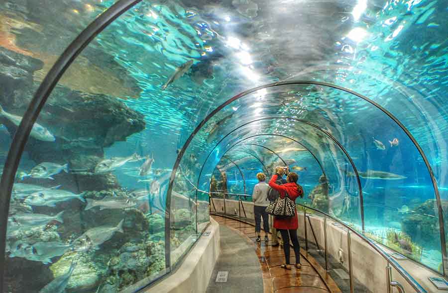 Aquarium by Gratis in Barcelona