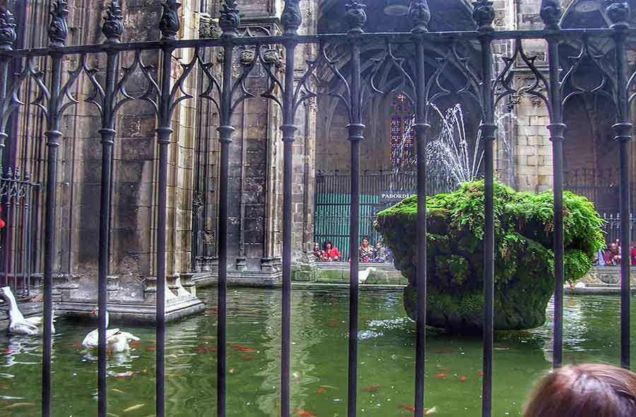 Barcelona Cathedral's Cloister by Gratis in Barcelona
