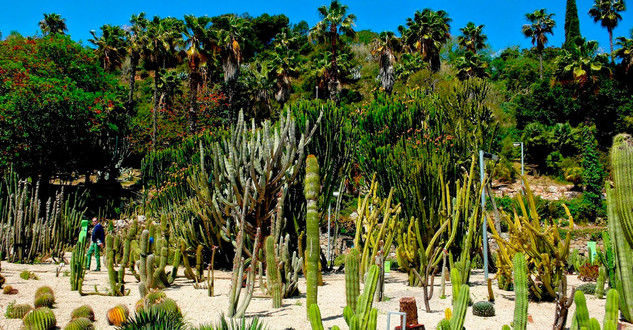 Jardines de Mossn Costa i Llobera by Gratis in Barcelona