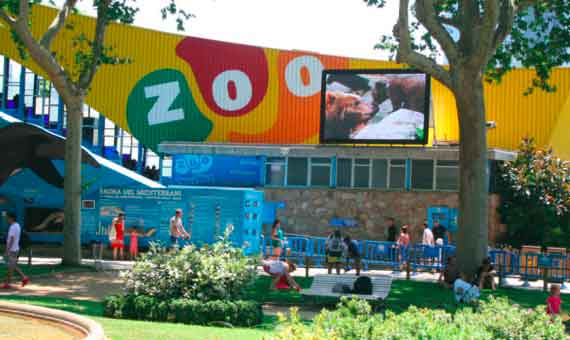 Zoo Barcelona by Gratis in Barcelona